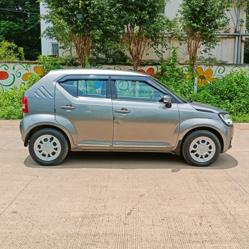 
								IGNIS DELTA AUTOMATIC 2018 MODEL PETROL full									