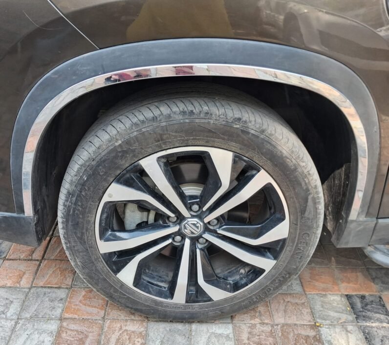 
								MG HECTOR SAVVY AT 2023 MODEL PETROL full									